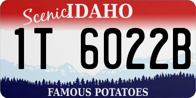 ID license plate 1T6022B