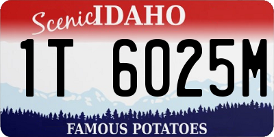 ID license plate 1T6025M