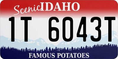 ID license plate 1T6043T