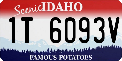 ID license plate 1T6093V