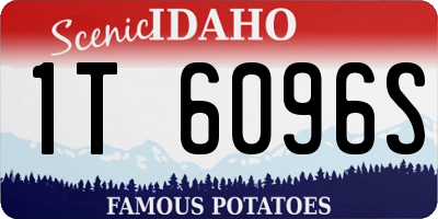 ID license plate 1T6096S