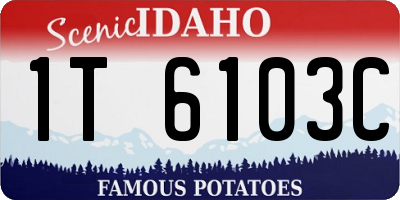 ID license plate 1T6103C