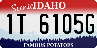 ID license plate 1T6105G