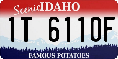 ID license plate 1T6110F