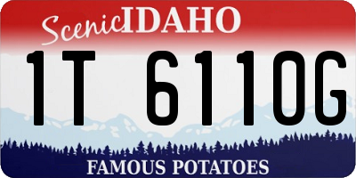 ID license plate 1T6110G