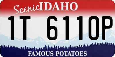 ID license plate 1T6110P