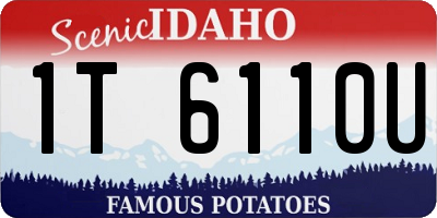 ID license plate 1T6110U