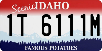 ID license plate 1T6111M