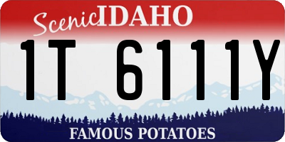 ID license plate 1T6111Y