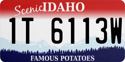 ID license plate 1T6113W
