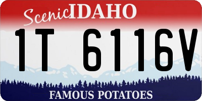 ID license plate 1T6116V