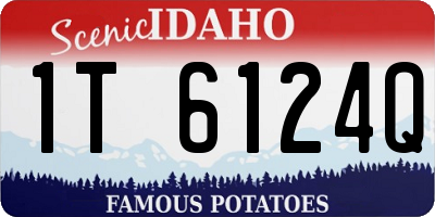 ID license plate 1T6124Q