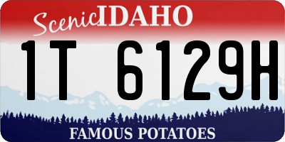ID license plate 1T6129H