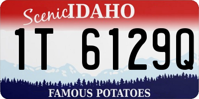 ID license plate 1T6129Q