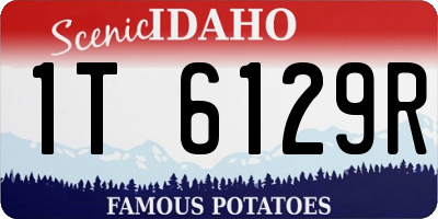 ID license plate 1T6129R