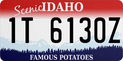 ID license plate 1T6130Z