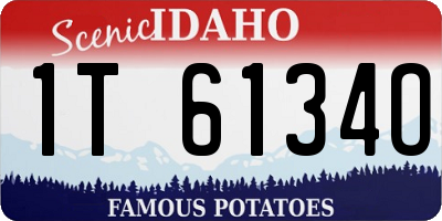 ID license plate 1T6134O