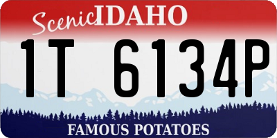 ID license plate 1T6134P