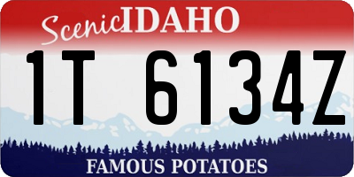 ID license plate 1T6134Z