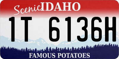 ID license plate 1T6136H