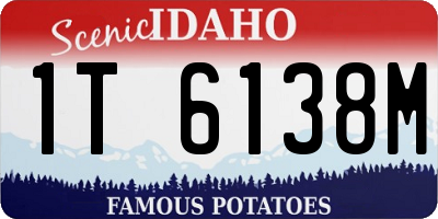 ID license plate 1T6138M