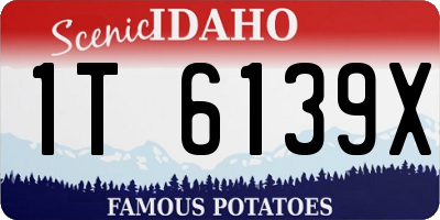 ID license plate 1T6139X