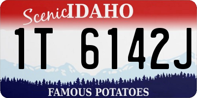 ID license plate 1T6142J