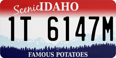 ID license plate 1T6147M