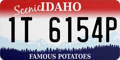 ID license plate 1T6154P