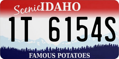 ID license plate 1T6154S