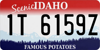 ID license plate 1T6159Z