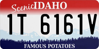ID license plate 1T6161V