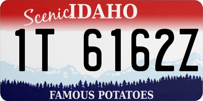 ID license plate 1T6162Z