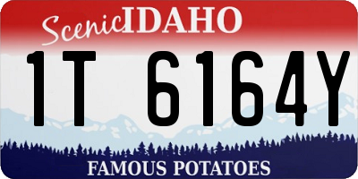 ID license plate 1T6164Y