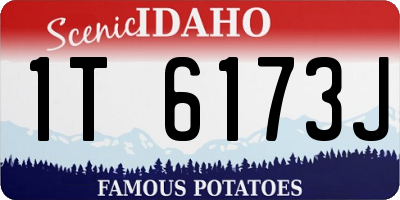 ID license plate 1T6173J