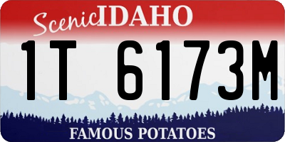 ID license plate 1T6173M