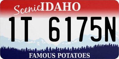ID license plate 1T6175N