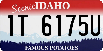 ID license plate 1T6175U