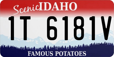 ID license plate 1T6181V