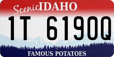ID license plate 1T6190Q