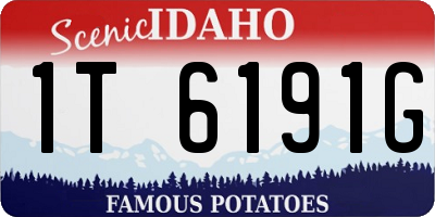 ID license plate 1T6191G