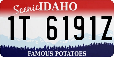 ID license plate 1T6191Z