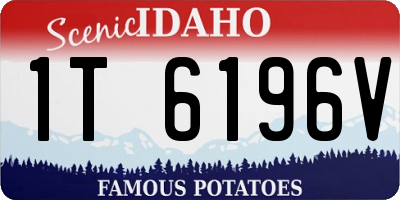 ID license plate 1T6196V