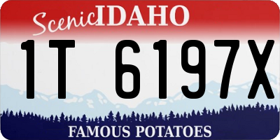 ID license plate 1T6197X