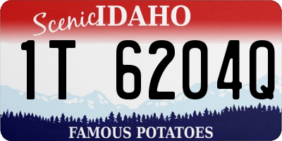 ID license plate 1T6204Q