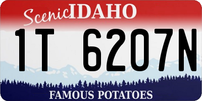 ID license plate 1T6207N