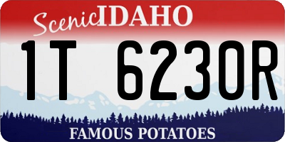 ID license plate 1T6230R