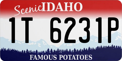 ID license plate 1T6231P