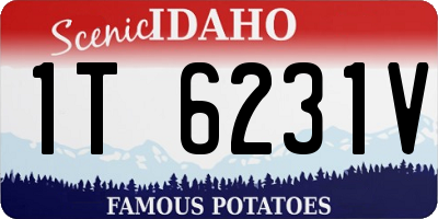 ID license plate 1T6231V