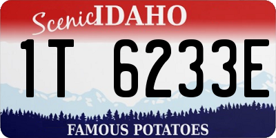 ID license plate 1T6233E